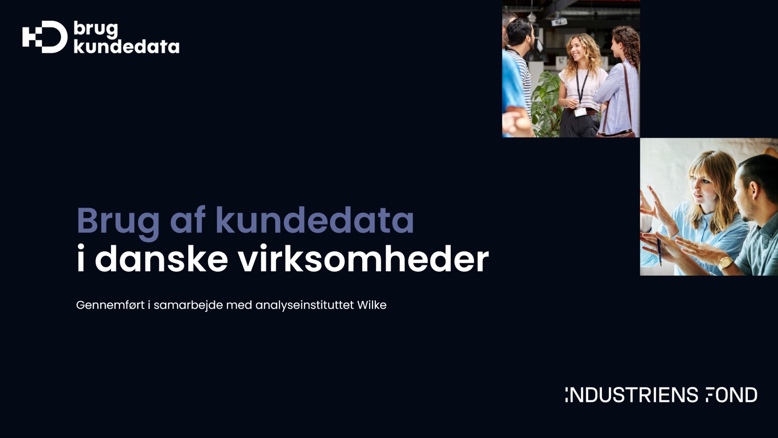 Brug af kundedata i danske virksomheder